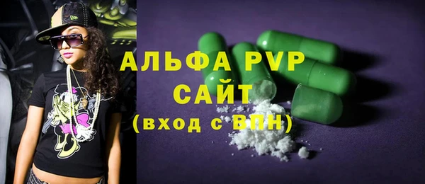 гидра Богородск