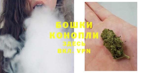 гидра Богородск