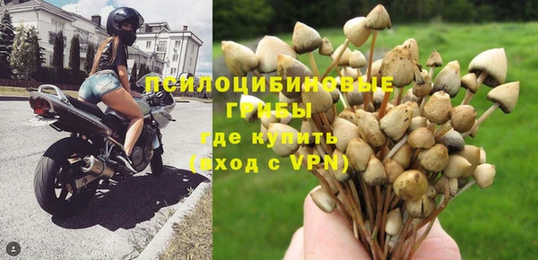 гидра Богородск
