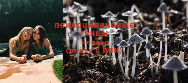 MESCALINE Богданович
