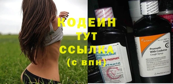 гидра Богородск