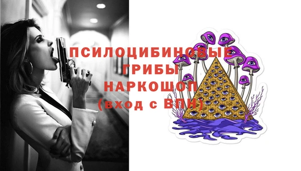 гидра Богородск