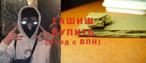 гидра Богородск