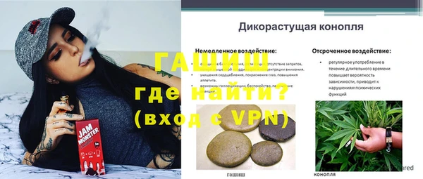PSILOCYBIN Богородицк
