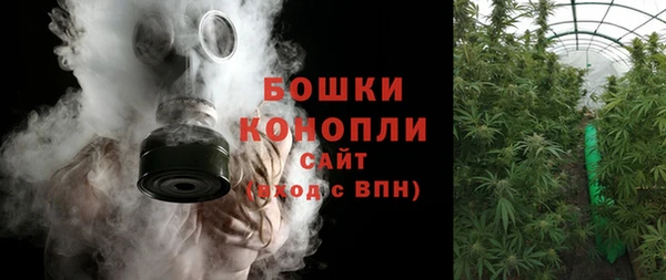 PSILOCYBIN Богородицк